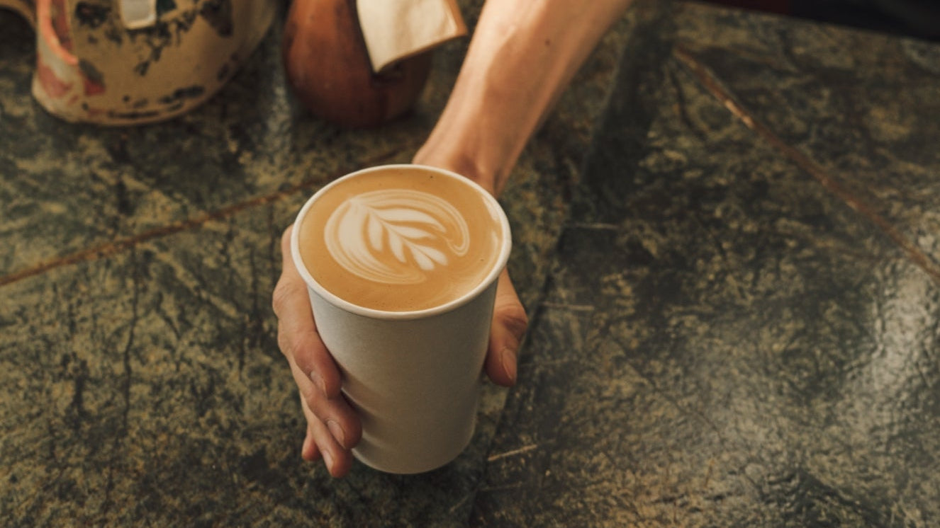 Jurassic_Magic_Content4