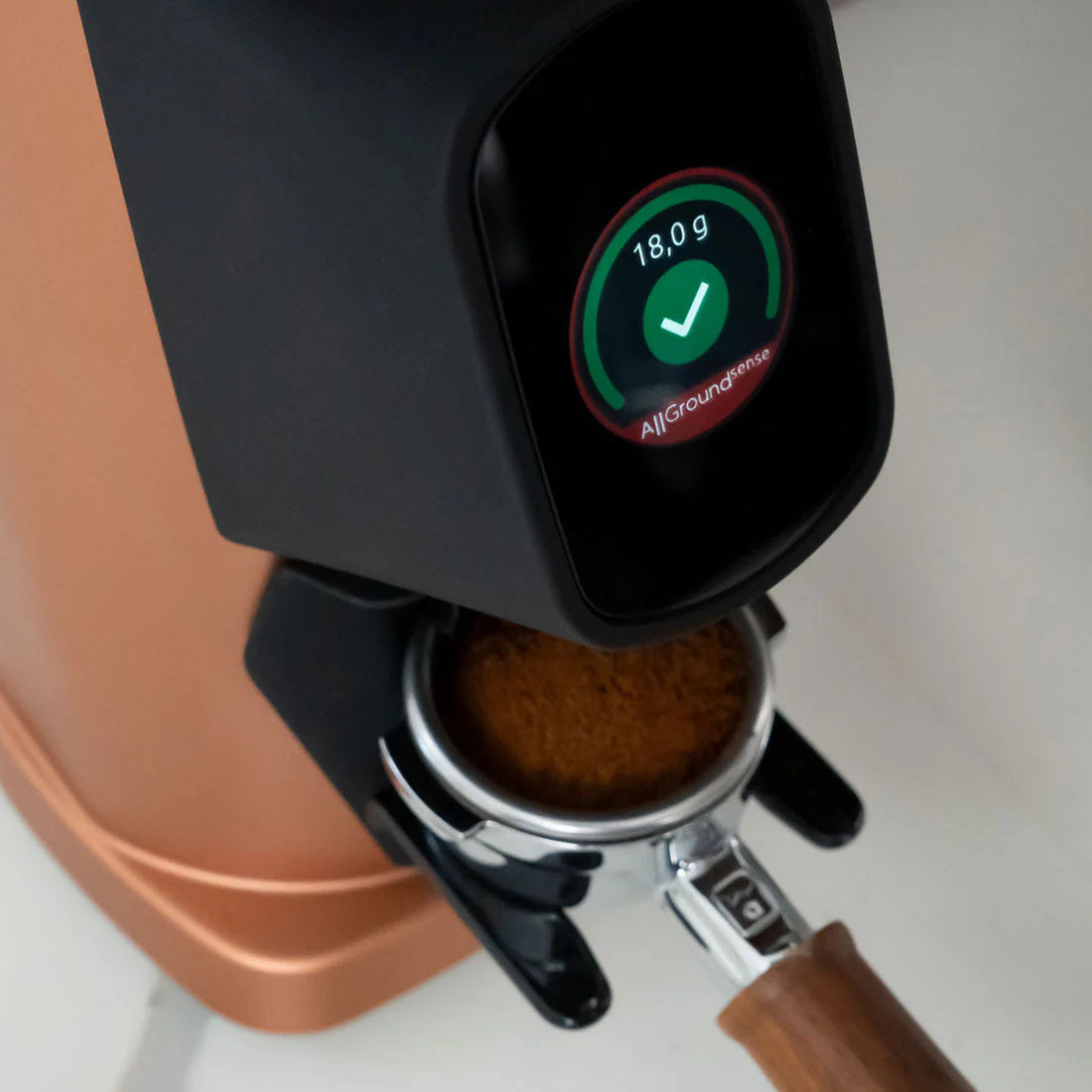Fiorenzato All Ground Sense Coffee Grinder