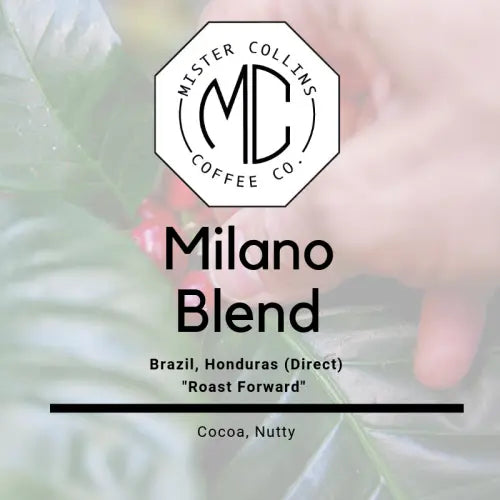 Mr. Collins Milano Blend (12oz bag) Mr. Collins
