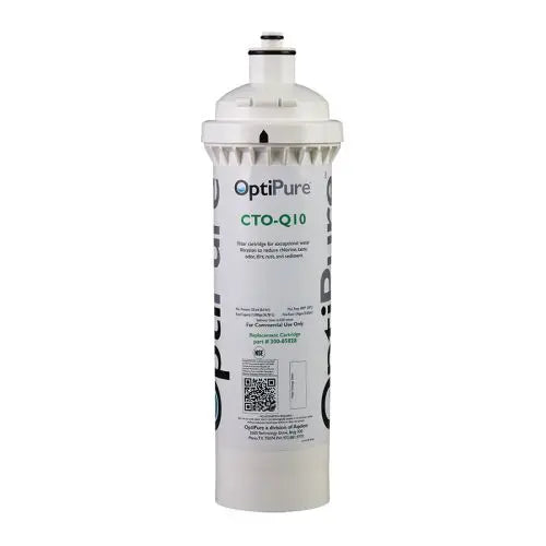 Pentair CTO-Q10 Filter Cartridge