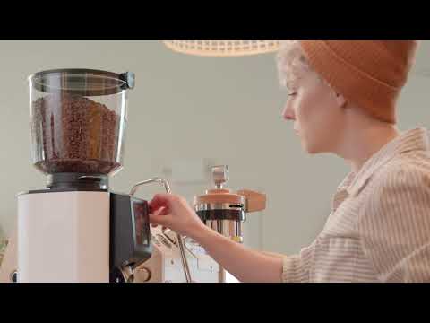 Anfim Luna Commercial Espresso Coffee Grinder